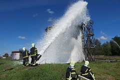 Professional training, retraining, professional development of workers (employees)